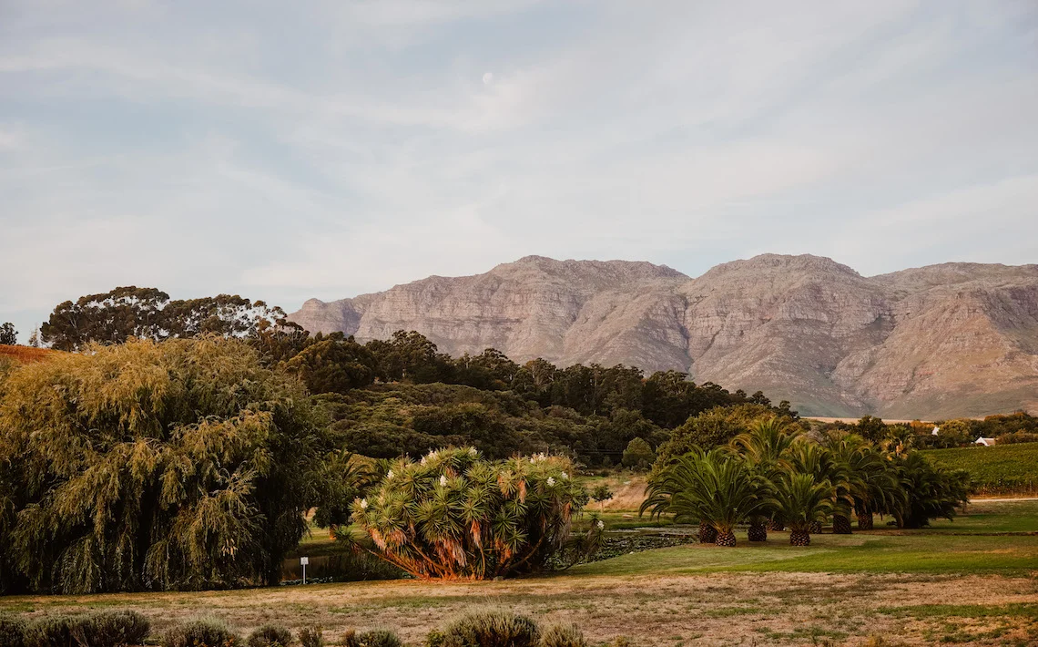 Suedafrika-Garden-Route-Stellenbosch-Winelands-2