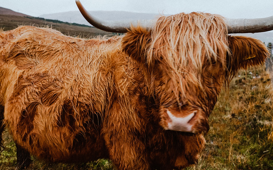 VA_Schottland_IsleofSky_01