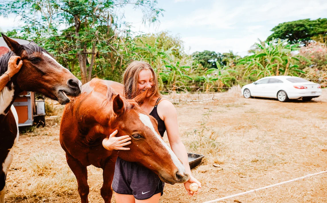 Freiwillig-Arbeiten-Hawaii-Oahu-Volunteer-Workaway
