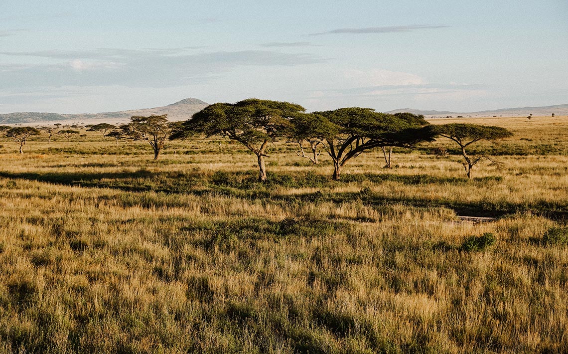 VA_Tansania_Safari_06