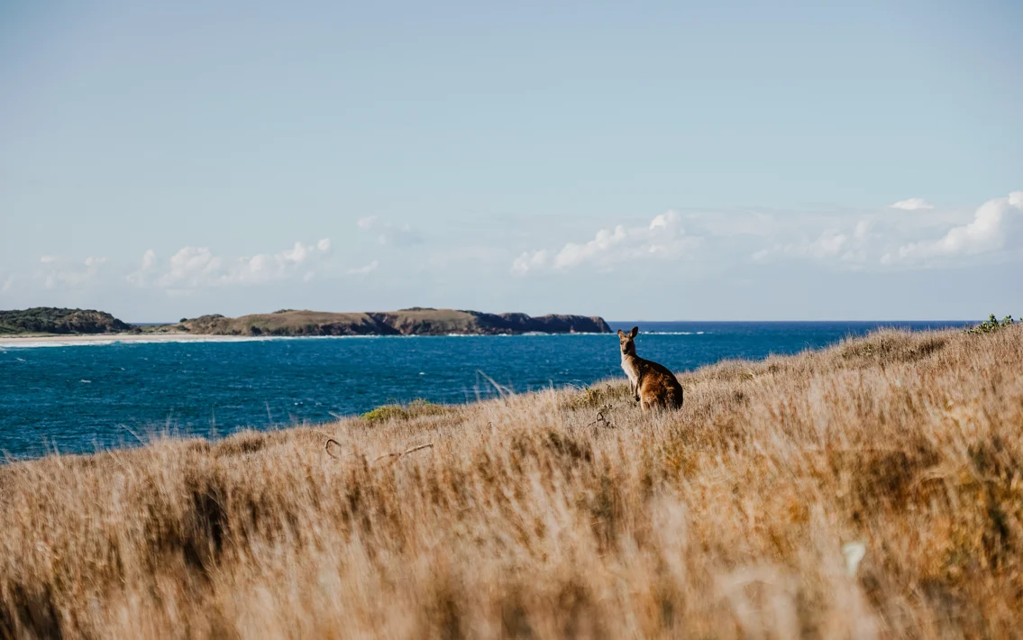 Look-at-me-now-Headland-Australien-01