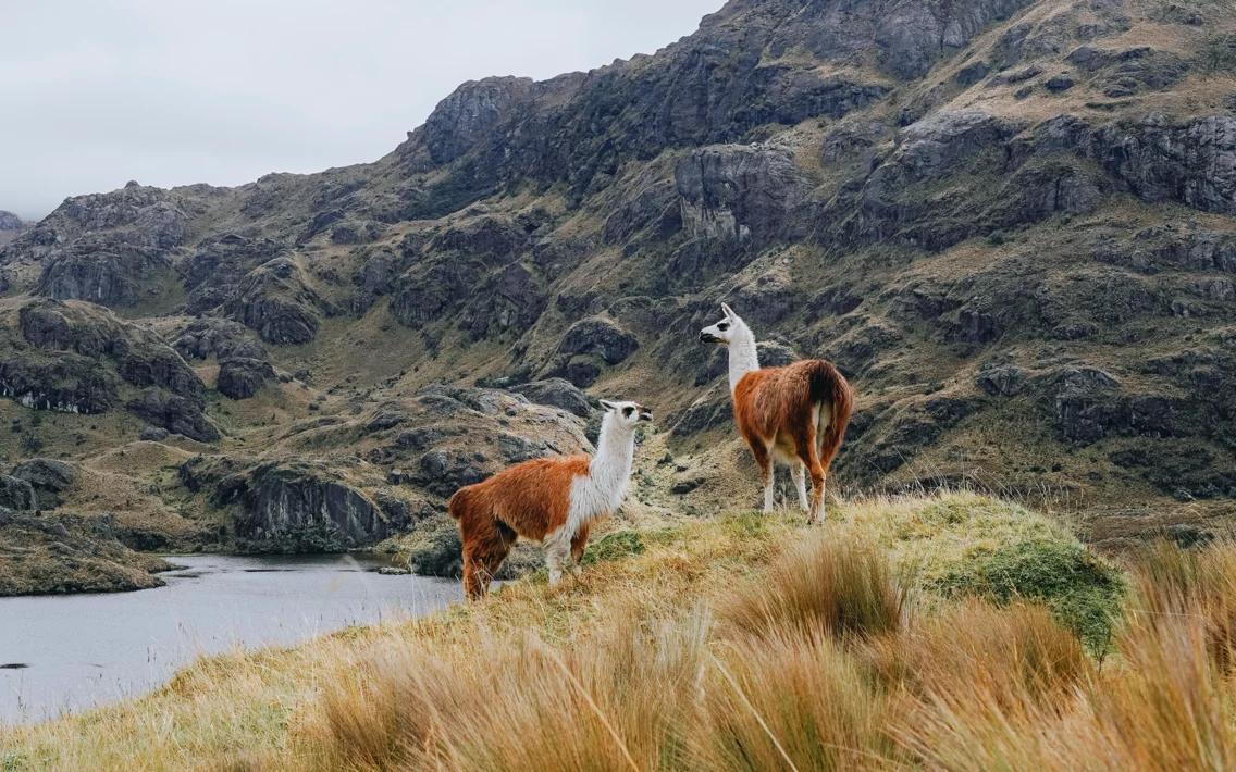 Ecuador-Cajas-Panorama